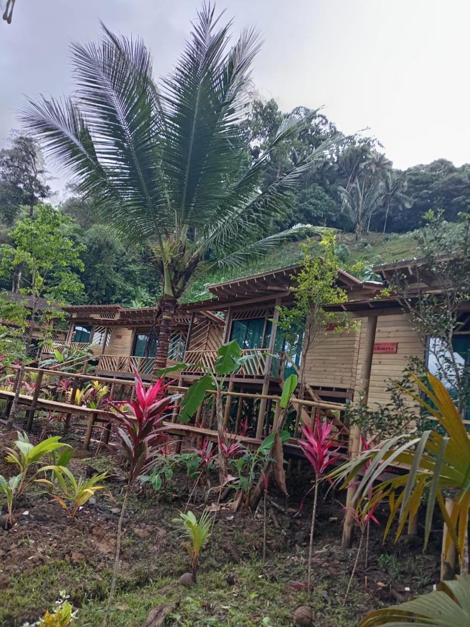 Pacific Nuqui Lodge Eksteriør billede